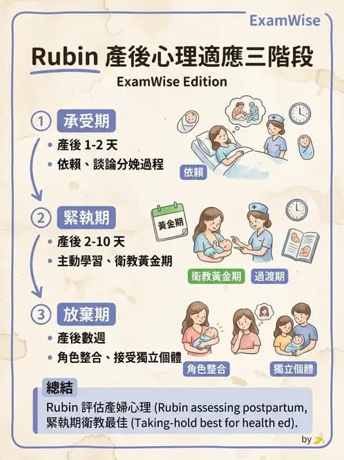 護理師 - 產後心理併發症與家庭計畫 - AI 圖文解析預覽