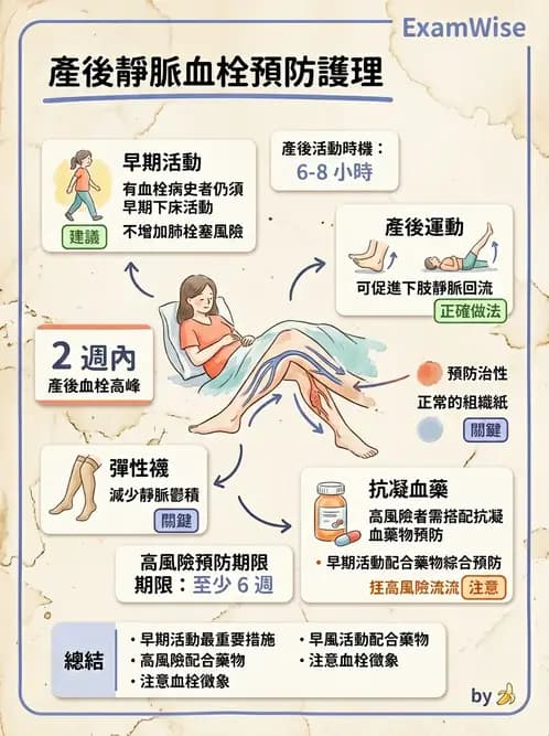 護理師 - 產後生理恢復與護理 - AI 圖文解析預覽
