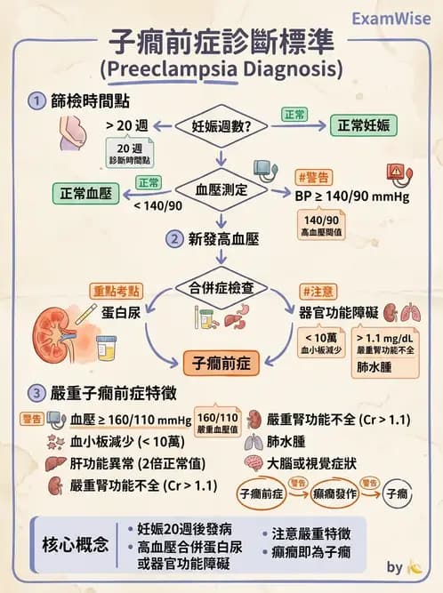 護理師 - 高危險妊娠 - AI 圖文解析預覽