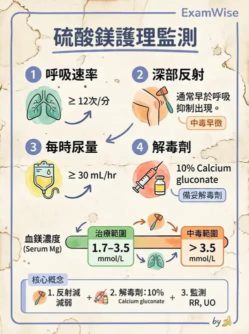護理師 - 高危險妊娠 - AI 圖文解析預覽