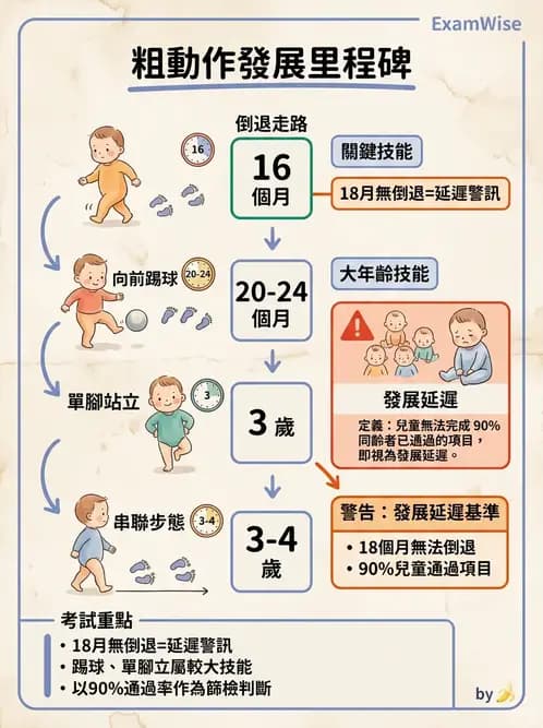 護理師 - 兒童生長發展與評估 - AI 圖文解析預覽