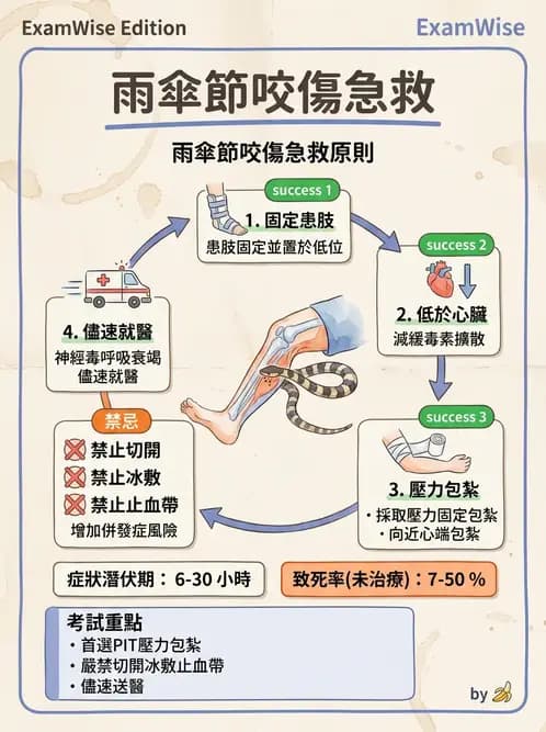 護理師 - 兒童急症與燒傷護理 - AI 圖文解析預覽