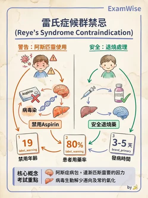 護理師 - 兒童傳染性疾病 - AI 圖文解析預覽