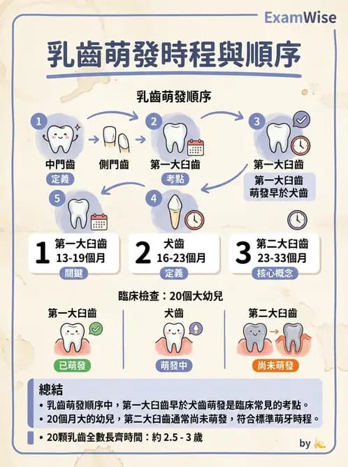 護理師 - 兒童生長發展與評估 - AI 圖文解析預覽