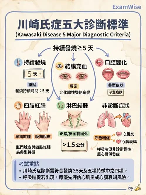 護理師 - 兒童循環系統疾病 - AI 圖文解析預覽