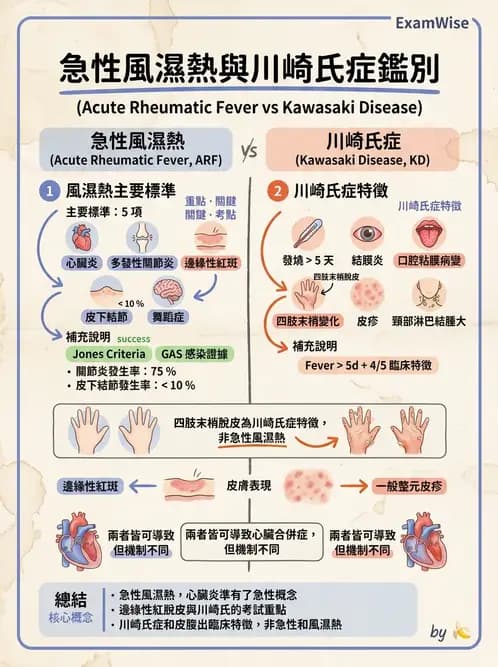 護理師 - 兒童循環系統疾病 - AI 圖文解析預覽