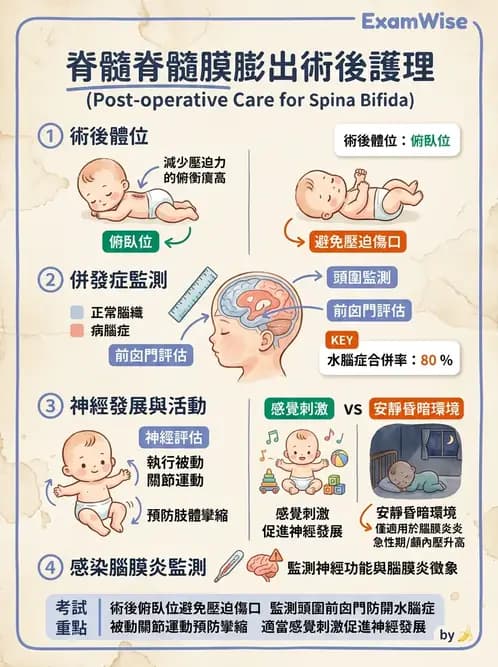 護理師 - 兒童神經肌肉骨骼疾病 - AI 圖文解析預覽