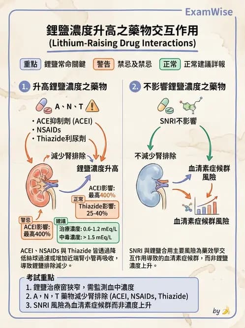 護理師 - 精神科藥物與生物治療 - AI 圖文解析預覽