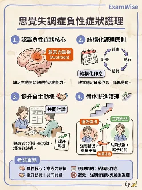 護理師 - 思覺失調症護理 - AI 圖文解析預覽