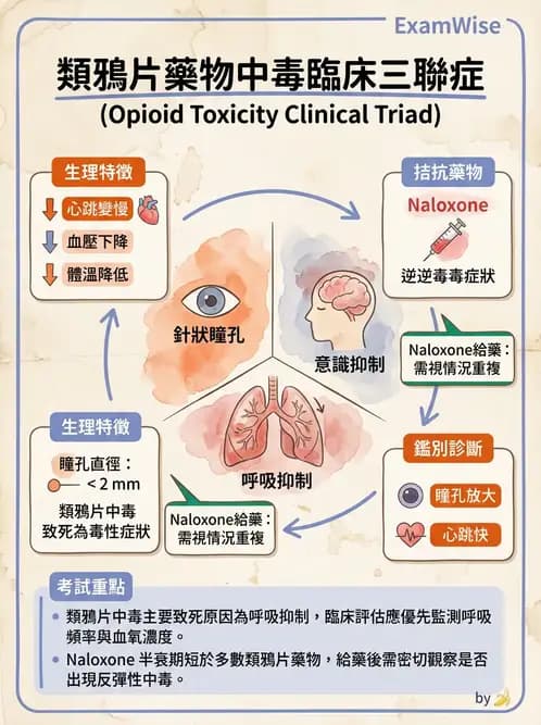 護理師 - 物質相關與成癮障礙 - AI 圖文解析預覽