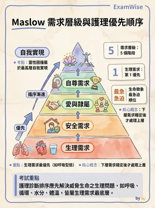 護理師 - 護理過程(評估至評值) - AI 圖文解析預覽