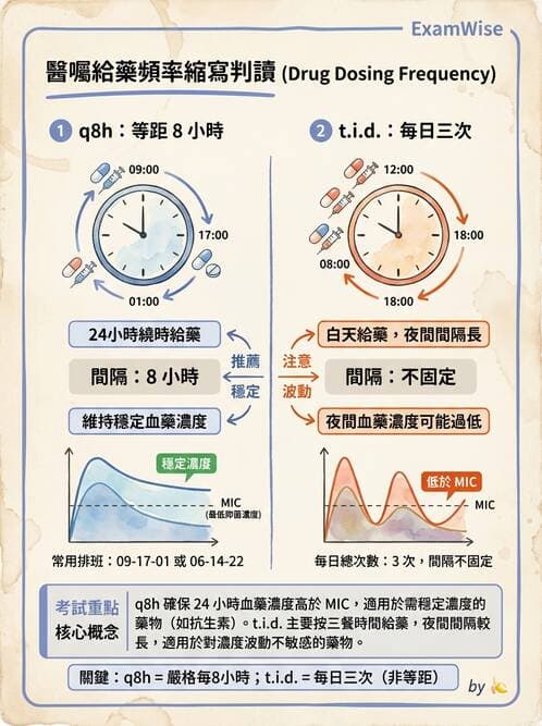 護理師 - 注射技術 - AI 圖文解析預覽