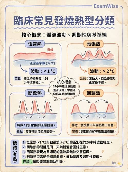 護理師 - 體溫與呼吸評估 - AI 圖文解析預覽
