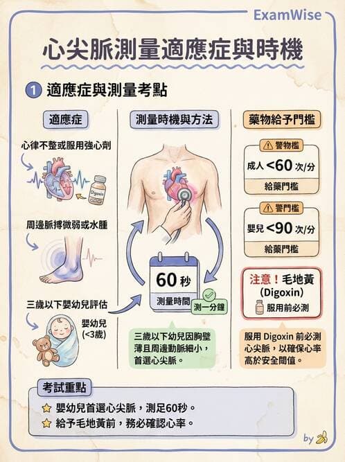 護理師 - 循環評估(脈搏與血壓) - AI 圖文解析預覽