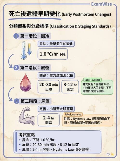 護理師 - 臨終與哀傷護理 - AI 圖文解析預覽