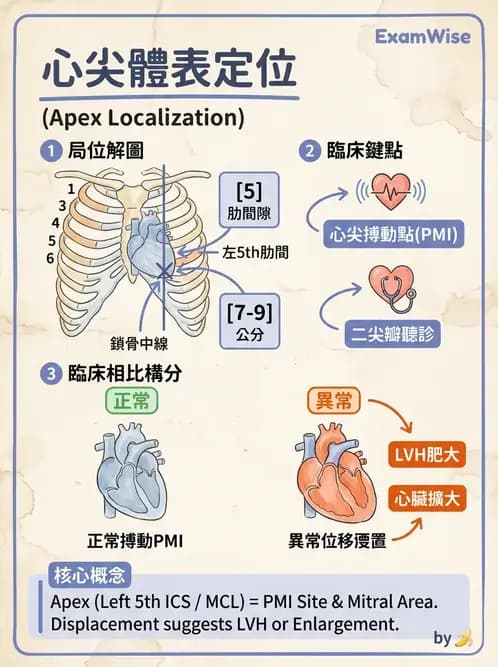 物治 - 心臟血管與血液解剖 - AI 圖文解析預覽