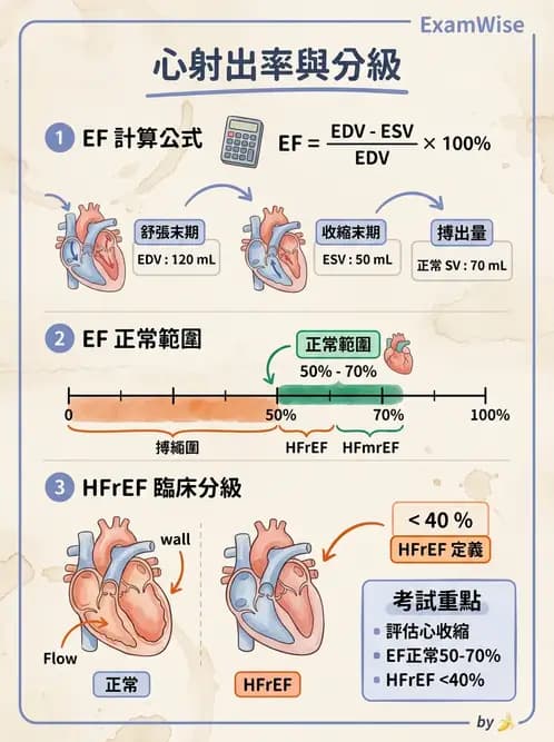 物治 - 心臟血管生理 - AI 圖文解析預覽