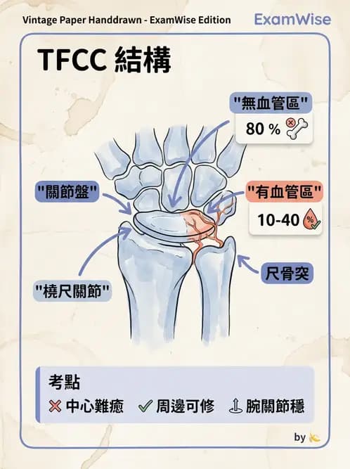 物治 - 腕關節生物力學 - AI 圖文解析預覽