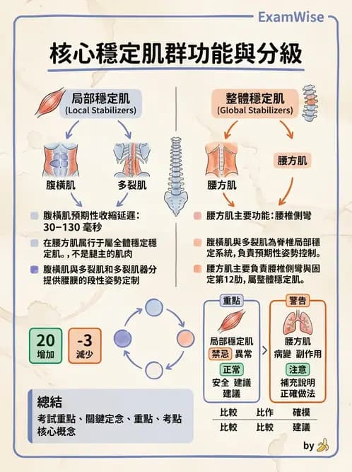 物治 - 軀幹肌動學與生物力學 - AI 圖文解析預覽