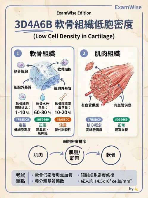 物治 - 組織生物力學 - AI 圖文解析預覽