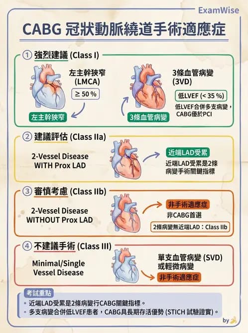 物治 - 心肺系統疾病 - AI 圖文解析預覽