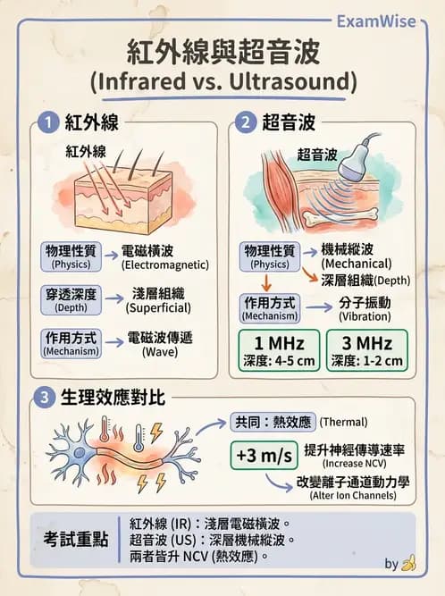 物治 - 物理因子特殊應用 - AI 圖文解析預覽