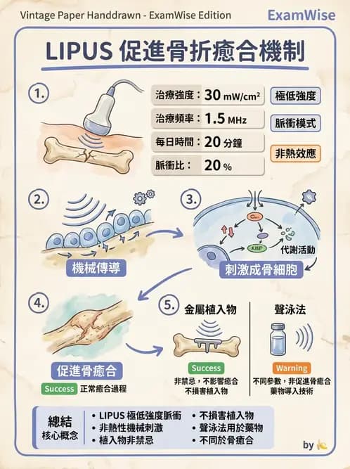 物治 - 超音波 - AI 圖文解析預覽