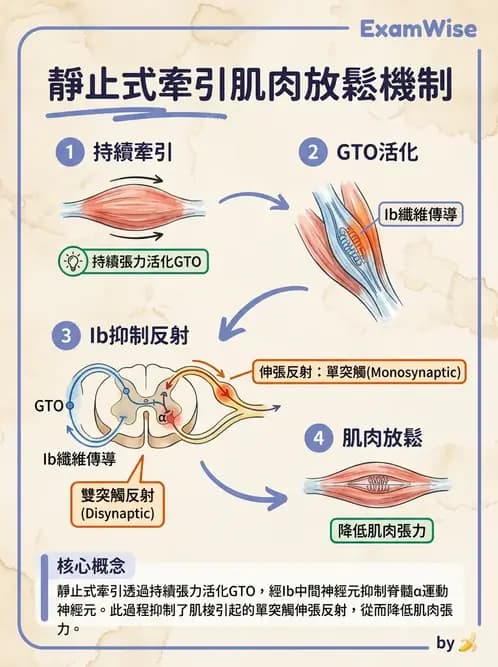 物治 - 力學因子 - AI 圖文解析預覽