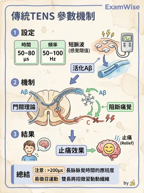 物治 - 經皮電刺激與電療基礎 - AI 圖文解析預覽