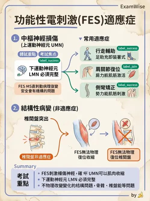 物治 - 功能性電刺激 - AI 圖文解析預覽