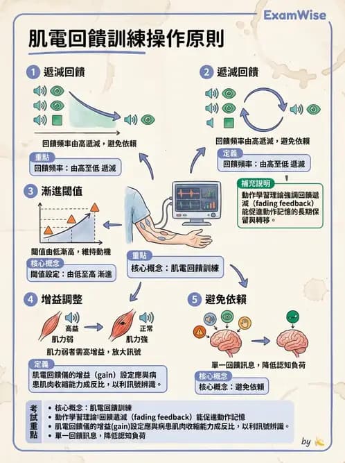 物治 - 肌電生物回饋 - AI 圖文解析預覽