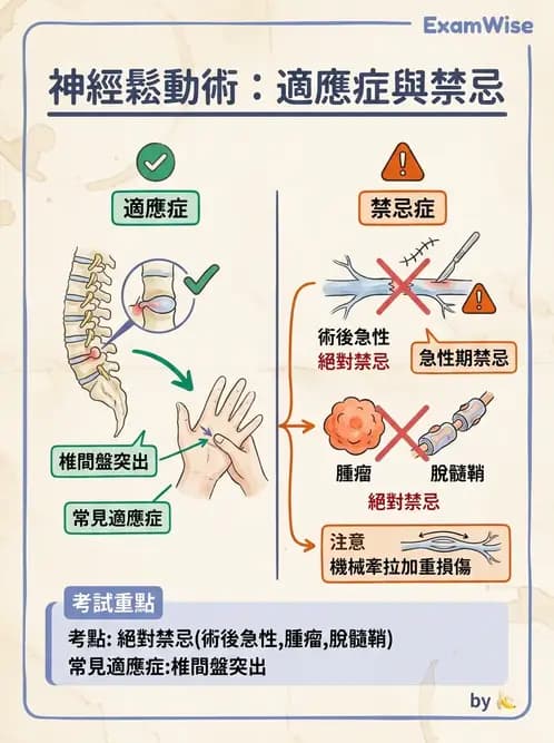 物治 - 神經鬆動術 - AI 圖文解析預覽