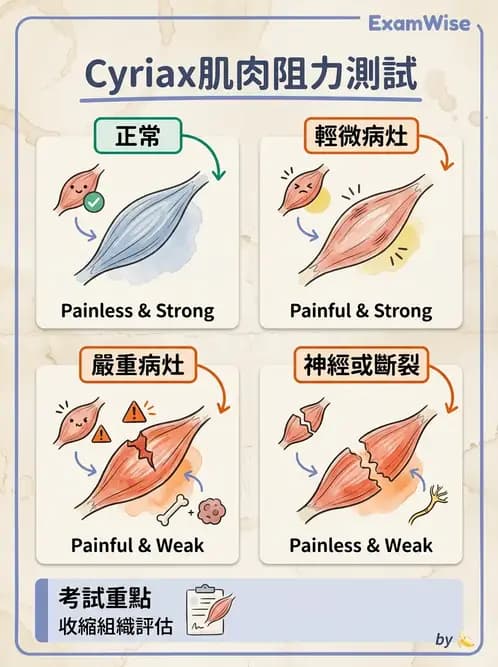 物治 - 鬆動術基礎概念與原則 - AI 圖文解析預覽