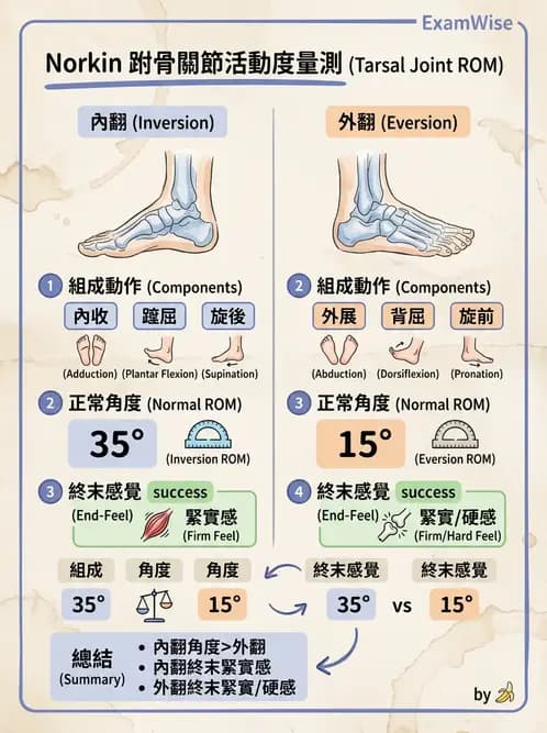 物治 - 下肢與脊椎關節活動度 - AI 圖文解析預覽