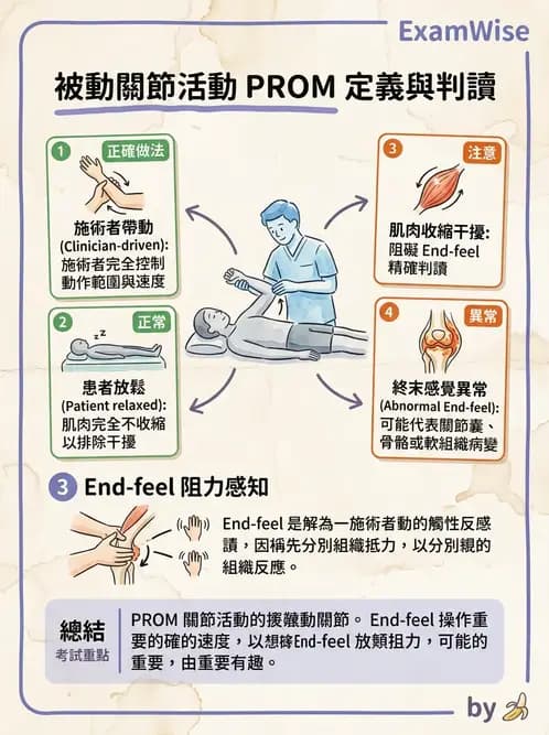 物治 - ROM通則與關節運動 - AI 圖文解析預覽