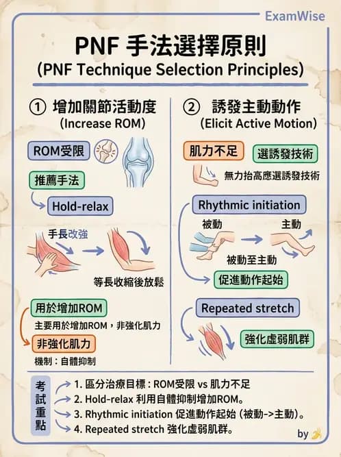 物治 - 腦中風治療手法應用 - AI 圖文解析預覽