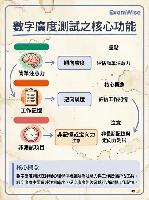 物治 - 神經物理治療評估工具 - AI 圖文解析預覽