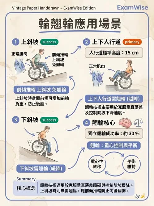 物治 - SCI功能預後與復健訓練 - AI 圖文解析預覽