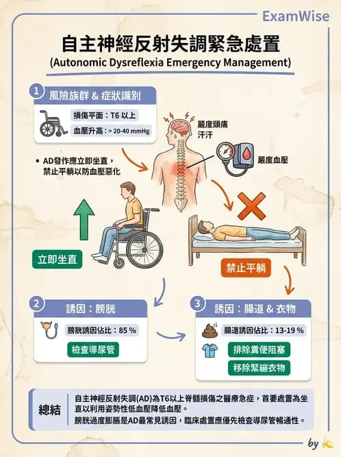 物治 - SCI併發症與呼吸管理 - AI 圖文解析預覽