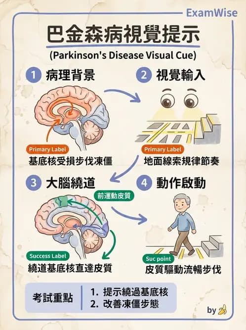 物治 - 巴金森氏病物理治療 - AI 圖文解析預覽