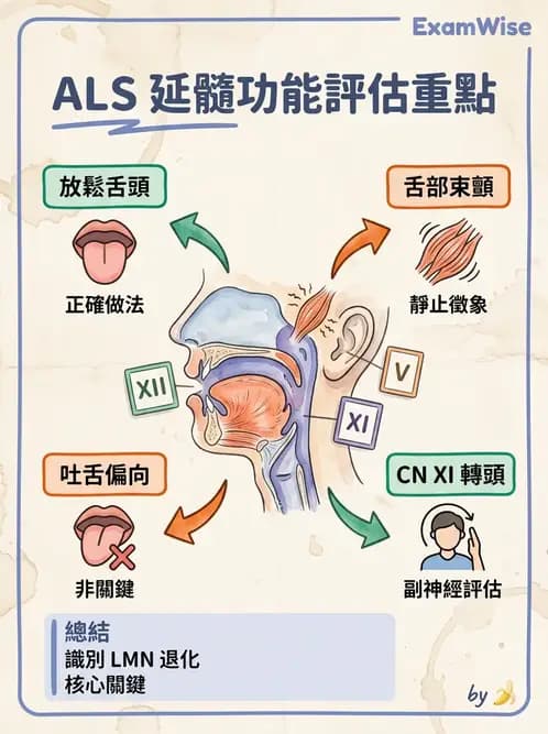 物治 - 運動神經元疾病與其他中樞疾病 - AI 圖文解析預覽