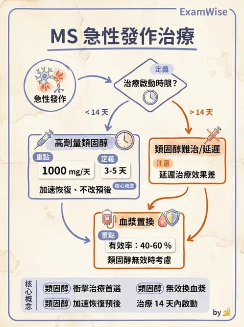 物治 - 多發性硬化症物理治療 - AI 圖文解析預覽