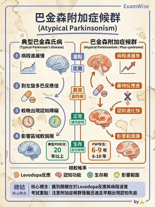 物治 - 巴金森氏病物理治療 - AI 圖文解析預覽
