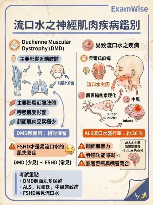 物治 - 神經肌肉疾病 - AI 圖文解析預覽