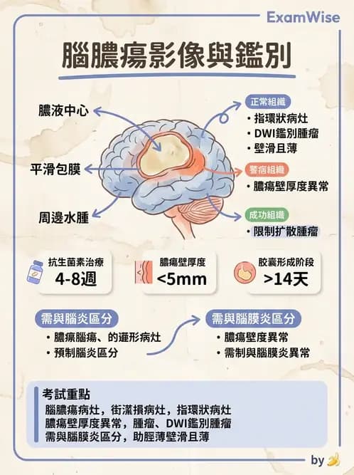物治 - 運動神經元疾病與其他中樞疾病 - AI 圖文解析預覽