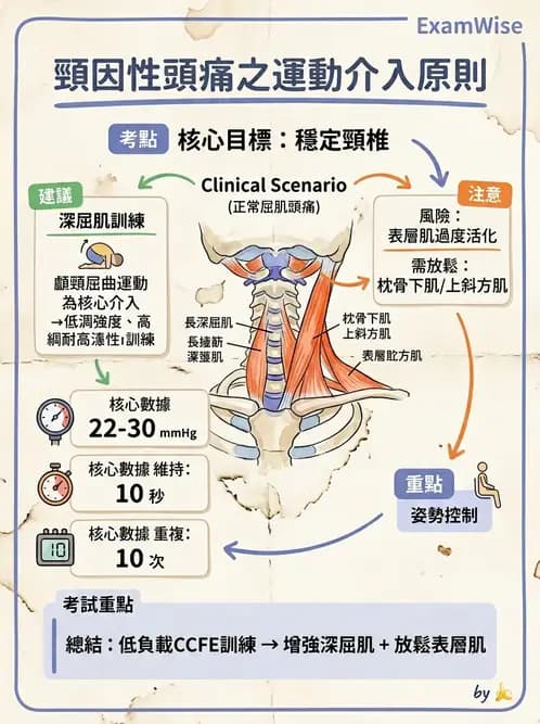 物治 - 頸椎評估與病理 - AI 圖文解析預覽