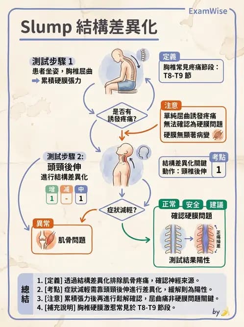 物治 - 胸椎與肋骨 - AI 圖文解析預覽