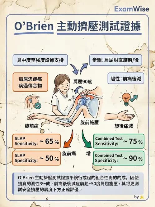 物治 - 肩關節不穩定與盂唇損傷 - AI 圖文解析預覽