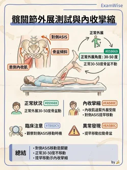 物治 - 髖關節解剖與評估 - AI 圖文解析預覽