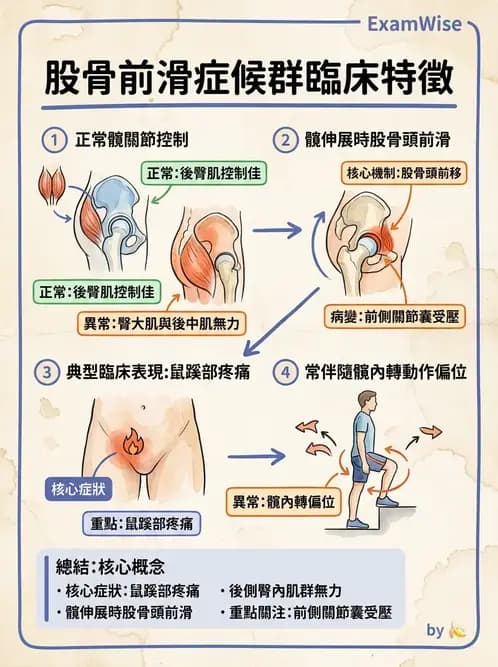 物治 - 髖關節病變與手術復健 - AI 圖文解析預覽